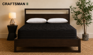 CRAFTSMAN ll